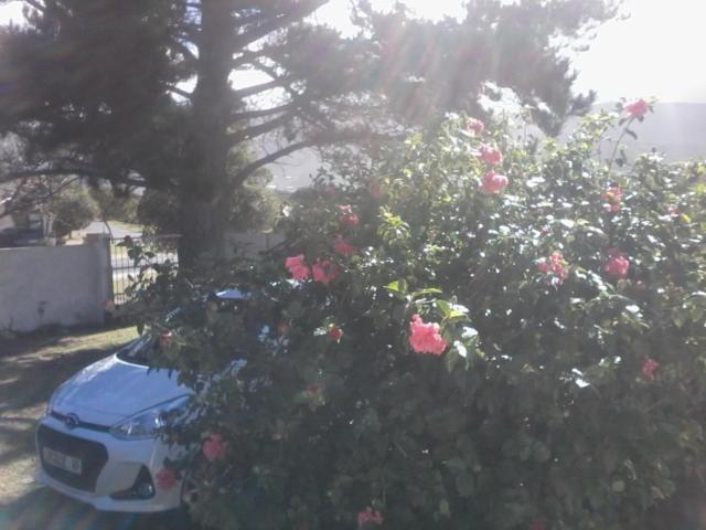 Self Catering Unit 6, Sandbaai Hermanus Exterior foto