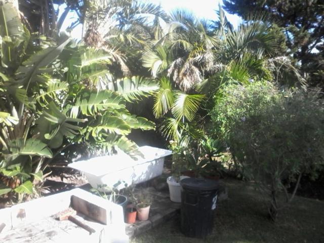 Self Catering Unit 6, Sandbaai Hermanus Exterior foto