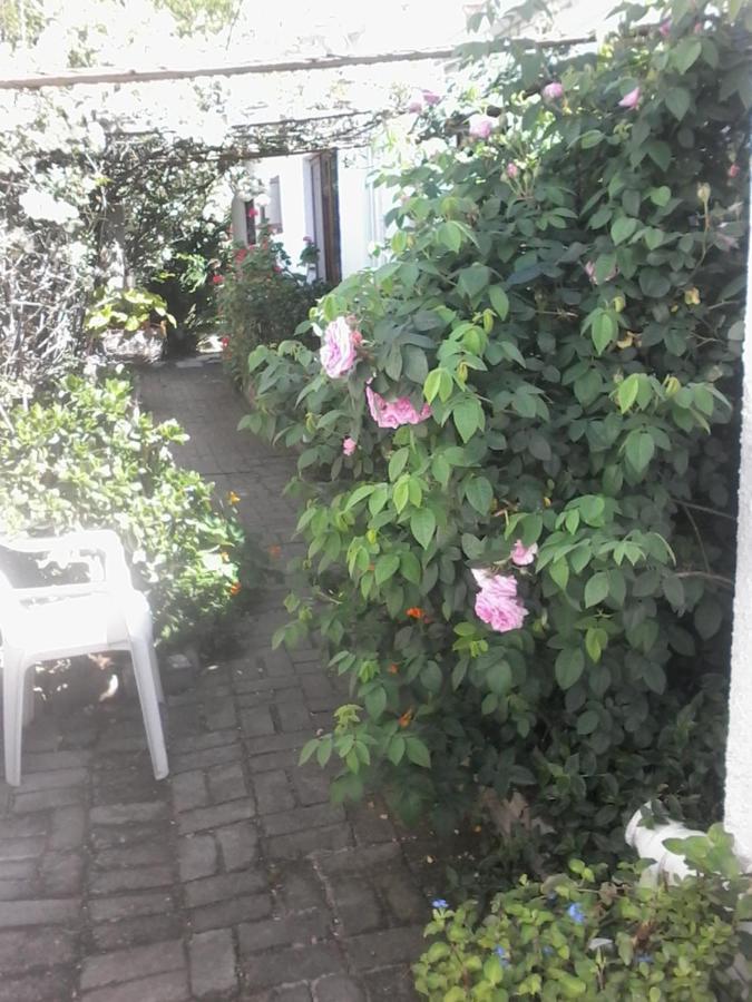 Self Catering Unit 6, Sandbaai Hermanus Exterior foto